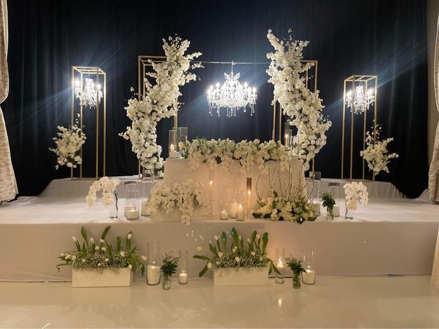 Designs by Zima - 1