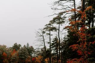 Provencher Photography - 56