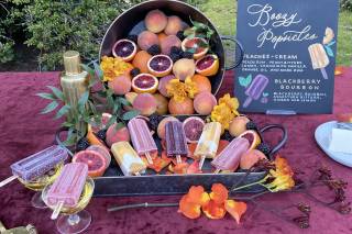 Boozy popsicles by Sloshy Pops - 8