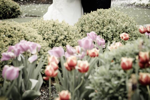 Lisa Marie Photography, Inc. 3