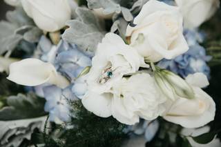 Presnell Photography - 6