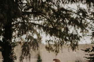 Shelby Laine Photography - 30