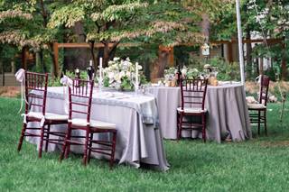 Diana Bellack Photography - 8