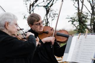 Ovation Strings - 13