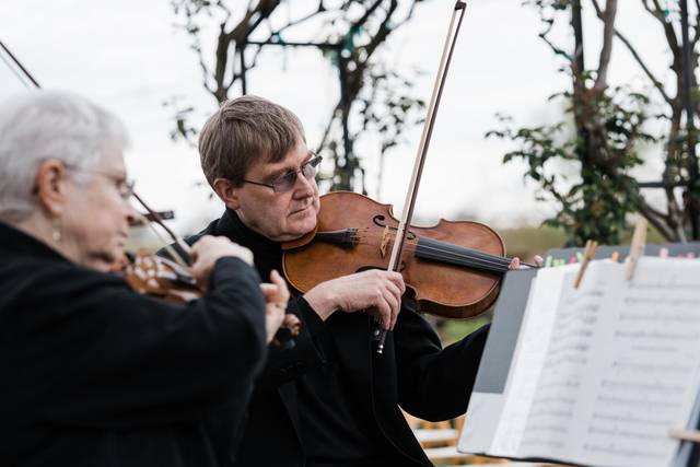 Ovation Strings 1