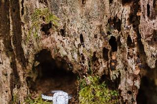 Jane D. Martinez Photography - 32