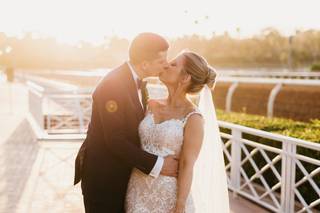 Honey Photographs - 5