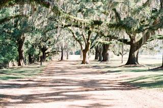 South Eden - 9