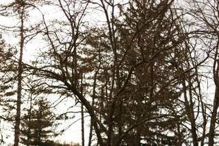 The Lodge at Richfield Heritage Preserve - 10