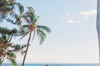 The Perfect Wedding Maui - 27