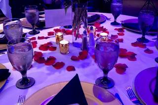 Fusion Social Events LLC - 16
