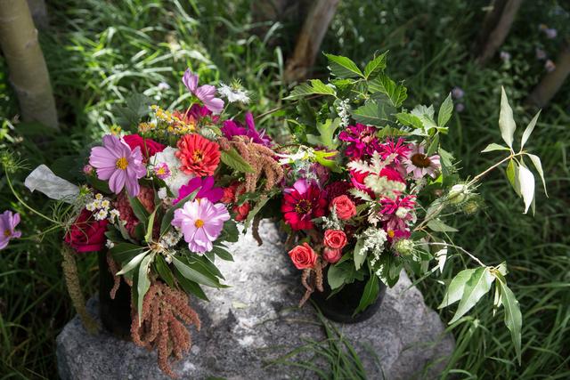 Sunfresh Flowers - 1