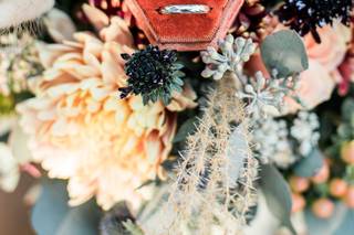 Holly Castillo Photography - 10