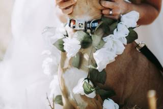 Becca Ann Fogg Photography - 9