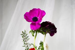 Lore Floral - 31