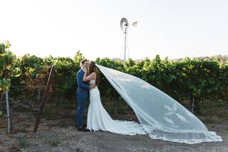 Zaca Mesa Winery - 22