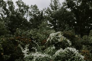 Little Redd Photography - 5