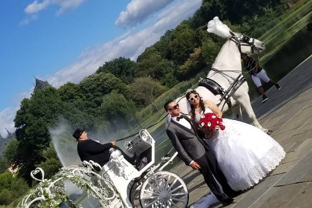 Dream Horse Carriage Company 4