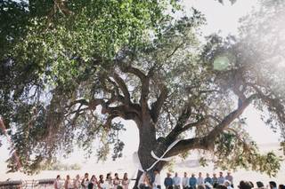 ALMOND SPRINGS - 51