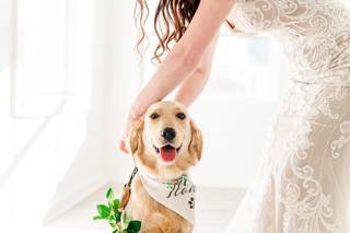 Carmen J. Williams Photography - 5
