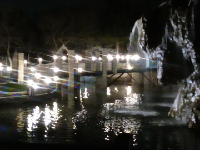 Dallas Oasis - 4