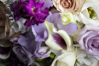 London Flower and Variety Inc. - 107