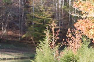 Jenn Eddine Photography - 19
