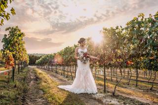 Dove Ridge Vineyard - 74