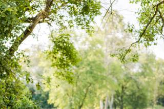 Off the Film Photography - 8