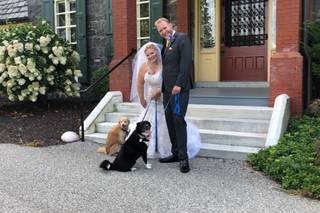Wedding Tails- PET HANDLER - 17