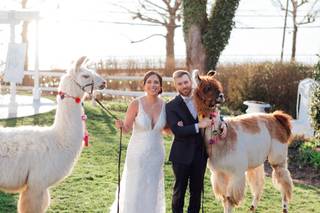 Justin Pedrick Photography - 5