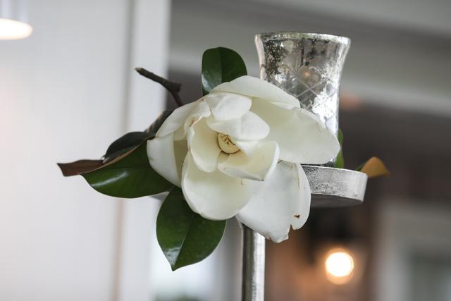 Southern Stems - 4