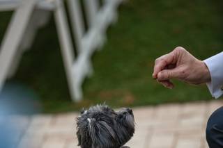 Koontz Photography - 15
