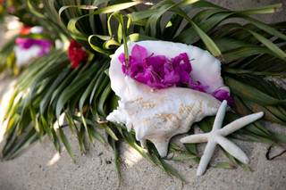 Kelly Greer, Photographer - 33
