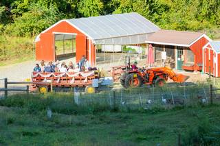 Retreat Farm - 6