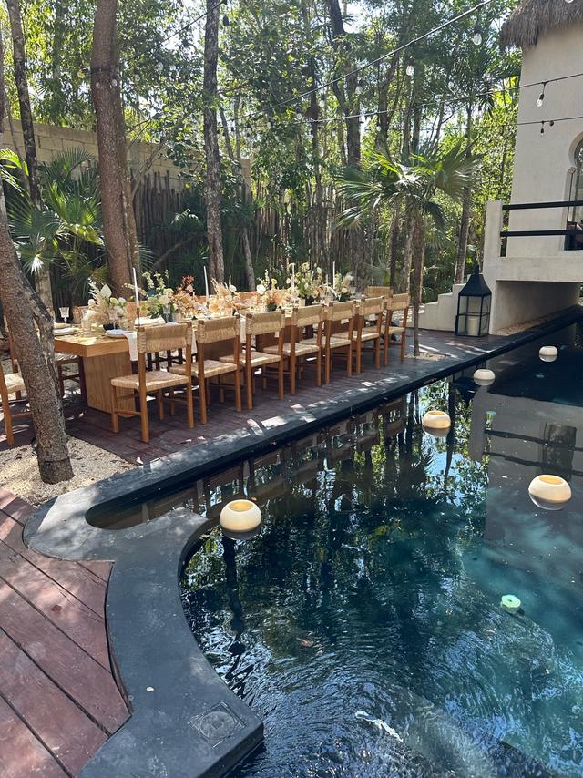 Ambre et Epices Jungle Venue - 3