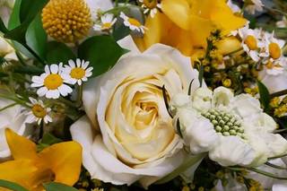 AMK Floral - 54