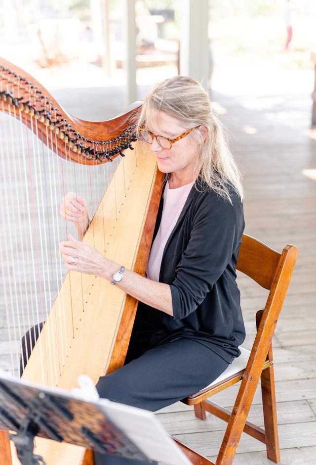 Kim Perkins Knoxville Harpist - 2