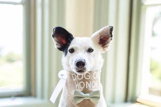 Arielle Unger Photography - 14