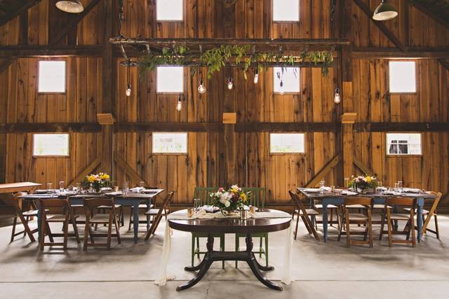 Megan Vaughan Photography 5