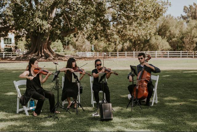 Clover String Quartet - 1