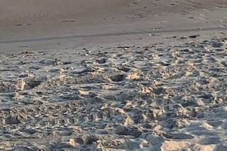 A Seaside Wedding & Events - 27