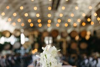 Adornment Events - 26