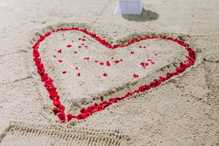 One Life Photography - 11