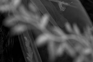 Ashley Ricci Photography - 32
