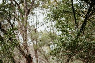 Alexandra White Photo - 41