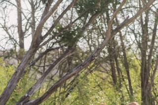 Lauren Garrison Photography - 31