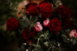 Adrienne Gerber Photography - 27