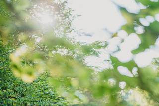 Brad Barnwell Photography - 18