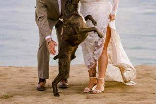 Weddings by the Sea - 32